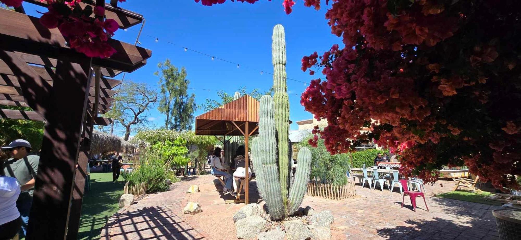 Casa Sunrise, Large Home, Minutes From Airport, Yrmc, Mexico Borders Yuma Exterior photo